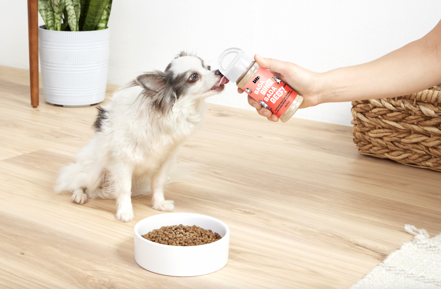 best dog food toppers