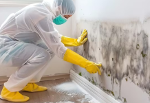 Important Services to Hire When Planning a Home Makeover Home