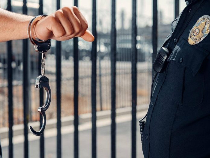 Police Expert Witness,